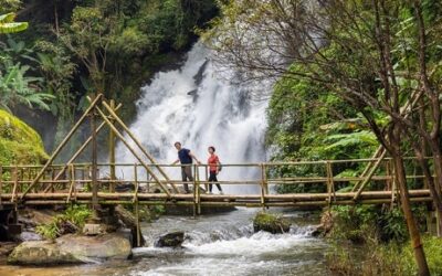 Boom del turismo sostenibile: 8,73 miliardi di dollari entro il 2031